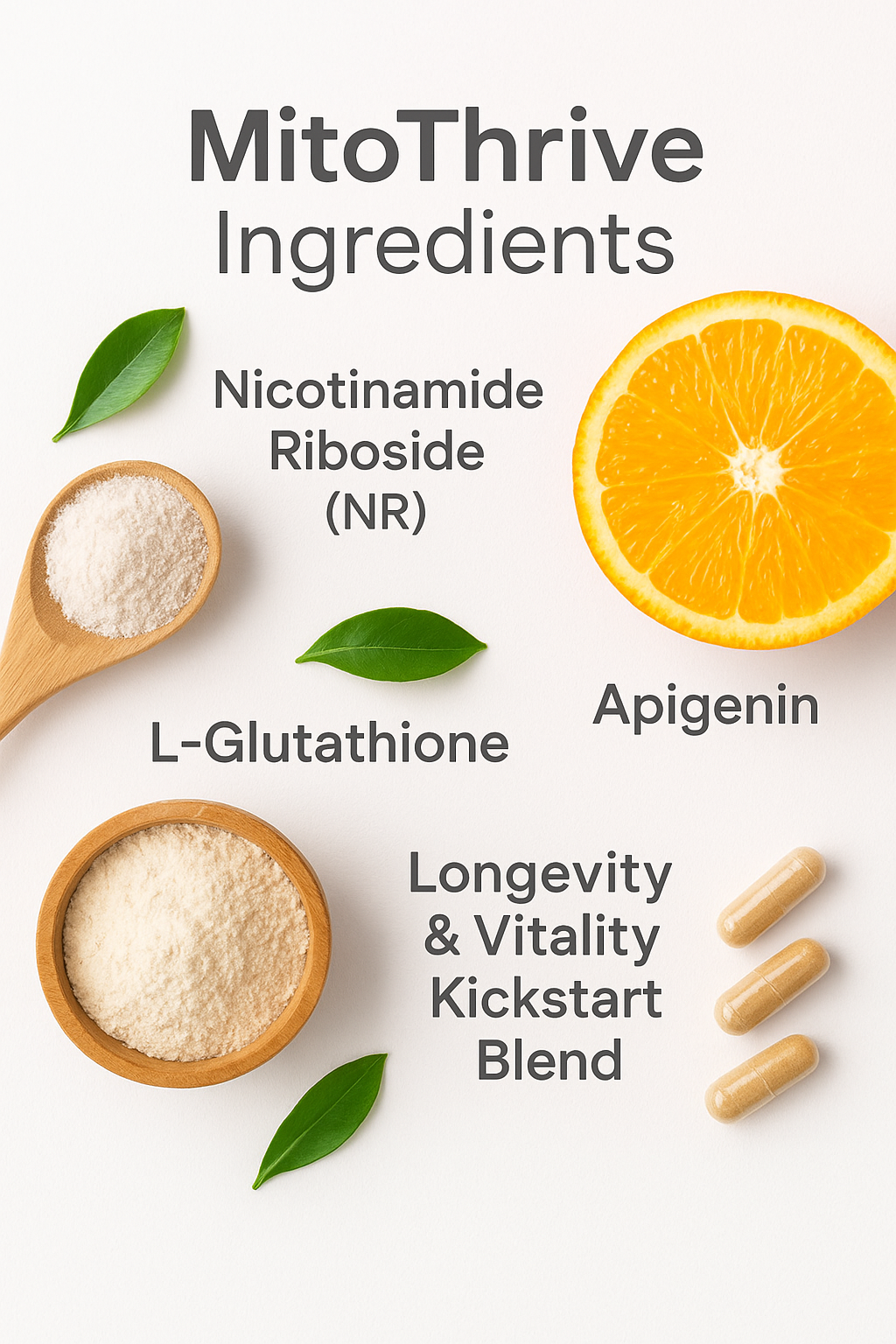 MitoThrive ingredients Supplement